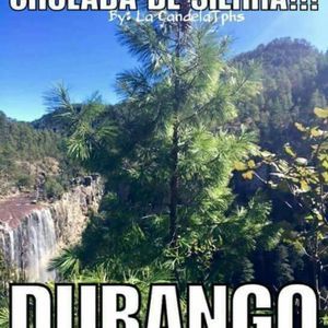 Meet your Posher, Enrique